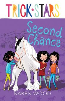 Second Chance (9781743437278) Read online