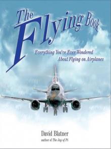 The Flying Book Read online