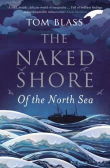The Naked Shore Read online