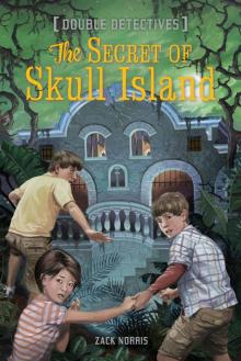 The Secret of Skull Island Read online