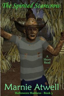 The Spirited Scarecrow Read online