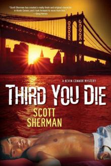 Third You Die (Kevin Connor Mystery) Read online