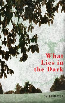 What Lies in the Dark Read online