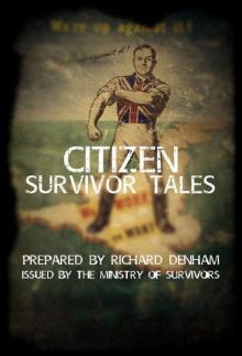 Citizen Survivor Tales (The Ministry of Survivors) Read online