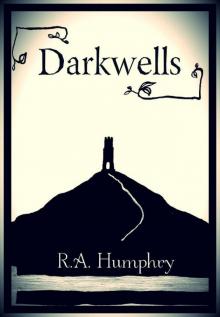 Darkwells Read online