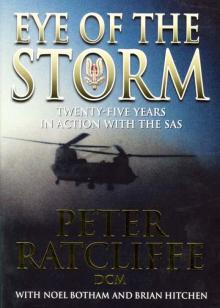 Eye of the Storm Read online