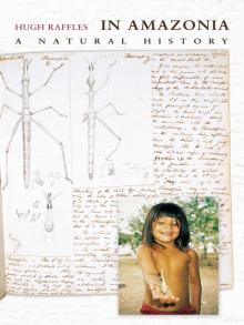 In Amazonia Read online