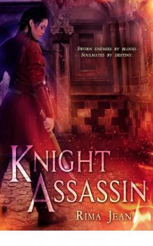 Knight Assassin (9781622664573) Read online