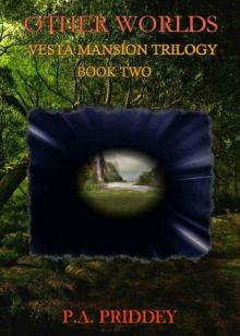 Other Worlds: Vesta Mansion Trilogy - Book Two - Fantasy Read online