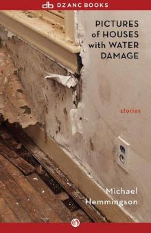 Pictures of Houses with Water Damage: Stories Read online