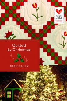 Quilted by Christmas (9781426796142) Read online