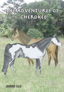 The Adventures of Cherokee Read online