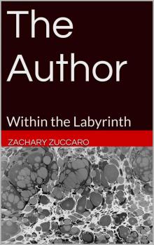 The Author: Within the Labyrinth Read online