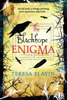The Blackhope Enigma Read online