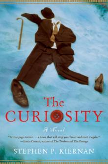 The Curiosity Read online