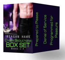 The Cyber Seductions Box Set Books 1-3 (Sci-fi/Futuristic Romance) Read online