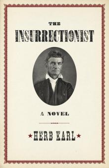 The Insurrectionist Read online