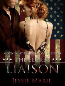 The Secret Liaison Read online