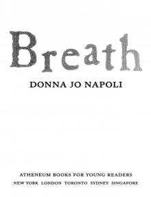 Breath (9781439132227) Read online