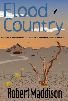 Flood country Read online