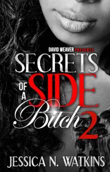 Secrets of a Side Bitch 2 Read online