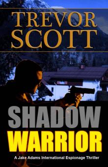 Shadow Warrior Read online