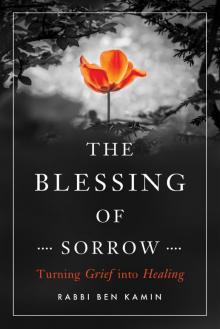 The Blessing of Sorrow Read online