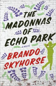 The Madonnas of Echo Park Read online