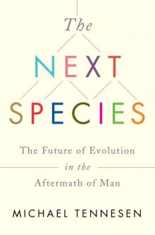 The Next Species: The Future of Evolution in the Aftermath of Man Read online