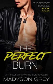 The Perfect Burn: A Thrilling Romantic Suspense (The Perfect Revenge Book 4) Read online