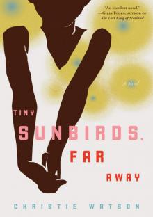 Tiny Sunbirds, Far Away Read online