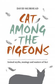 Cat among the pigeons Read online