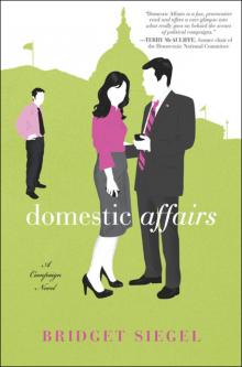 Domestic Affairs Read online