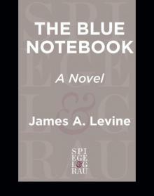 The Blue Notebook Read online