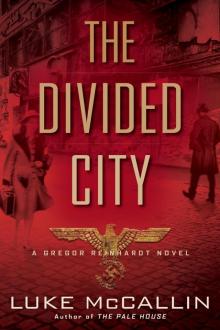 The Divided City Read online