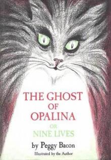 The Ghost of Opalina Read online