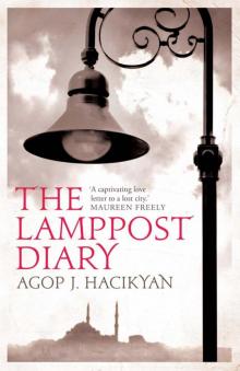 The Lamppost Diary Read online