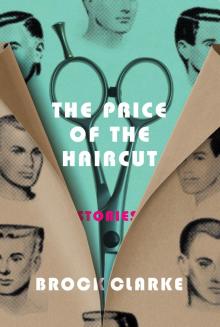 Price of the Haircut : Stories (9781616208240) Read online
