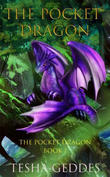 The Pocket Dragon: The Pocket Dragon: Book 1 Read online