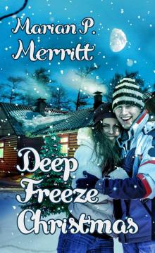 Deep Freeze Christmas Read online