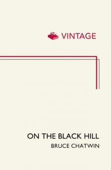 On The Black Hill (Vintage Classics) Read online