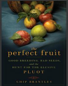 The Perfect Fruit Read online