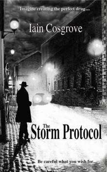 The Storm Protocol Read online
