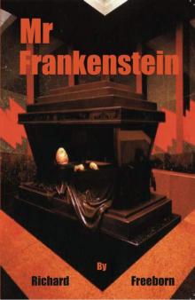 Mr Frankenstein Read online