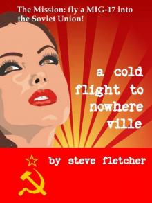 A Cold Flight To Nowhereville Read online