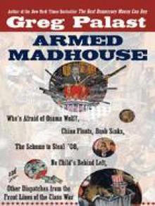 Armed Madhouse Read online