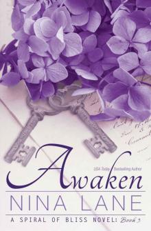 Awaken: A Spiral of Bliss Novel (Book Three) Read online
