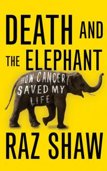 Death and the Elephant Read online