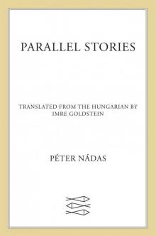 Parallel Stories: A Novel Read online