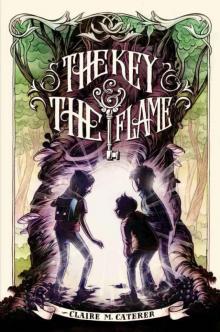 The Key & the Flame Read online